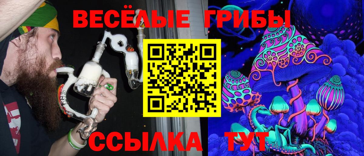 Галлюциногенные грибы мухоморы  Вход с VPN  Анжеро-Судженск 